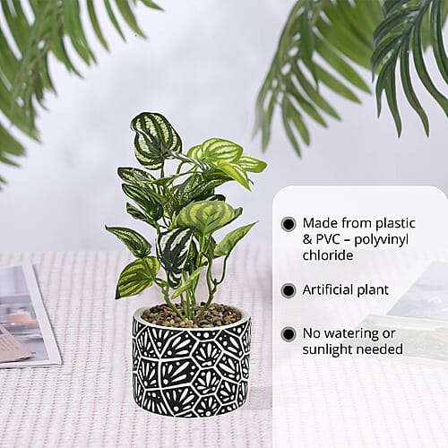 Floral - Product card gallery slide 3 (9431953277183)
