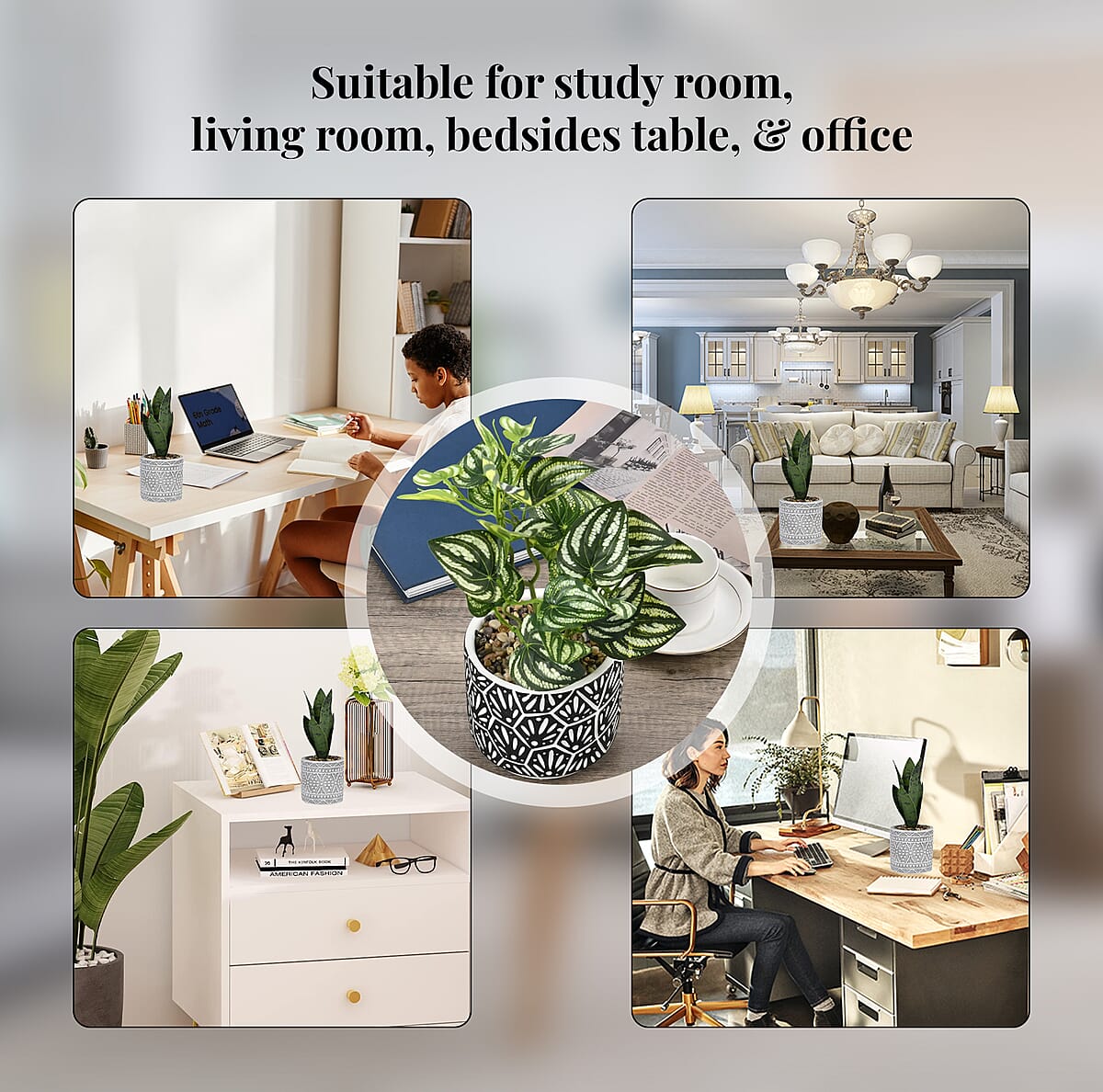 Black Artificial Succulent Pot image number 4