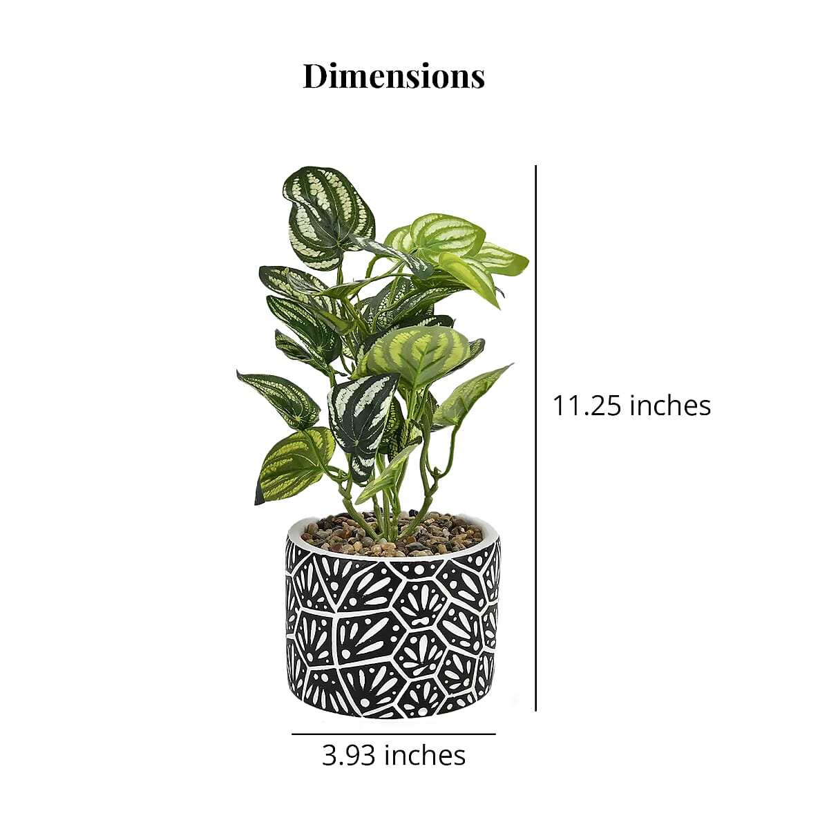 Black Artificial Succulent Pot image number 5