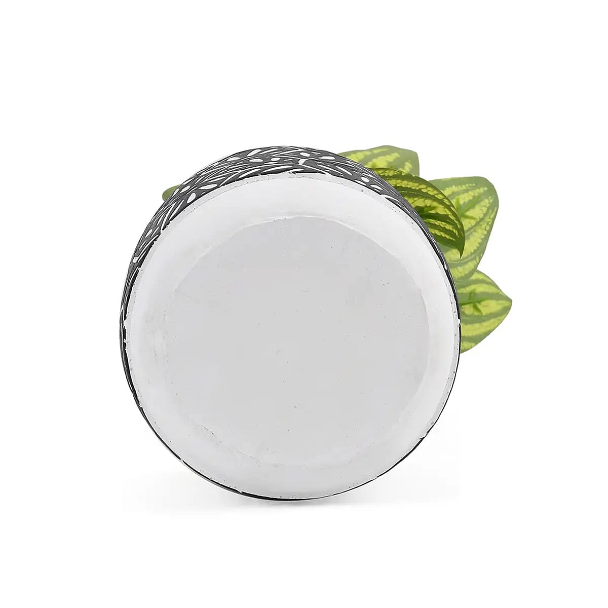 Black Artificial Succulent Pot image number 6