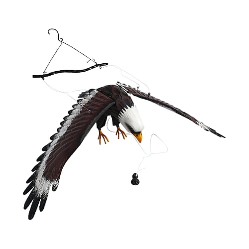 Flying Eagle - Product card gallery slide 1 (9431978213631)