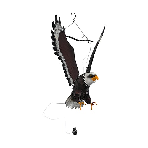 Flying Eagle - Product card gallery slide 2 (9431978213631)