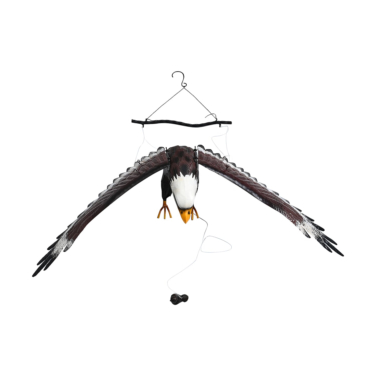 Flying Eagle - Product card gallery slide 4 (9431978213631)