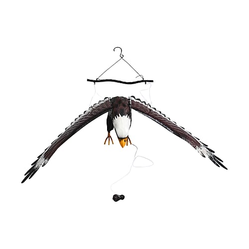 Flying Eagle - Product card gallery slide 4 (9431978213631)