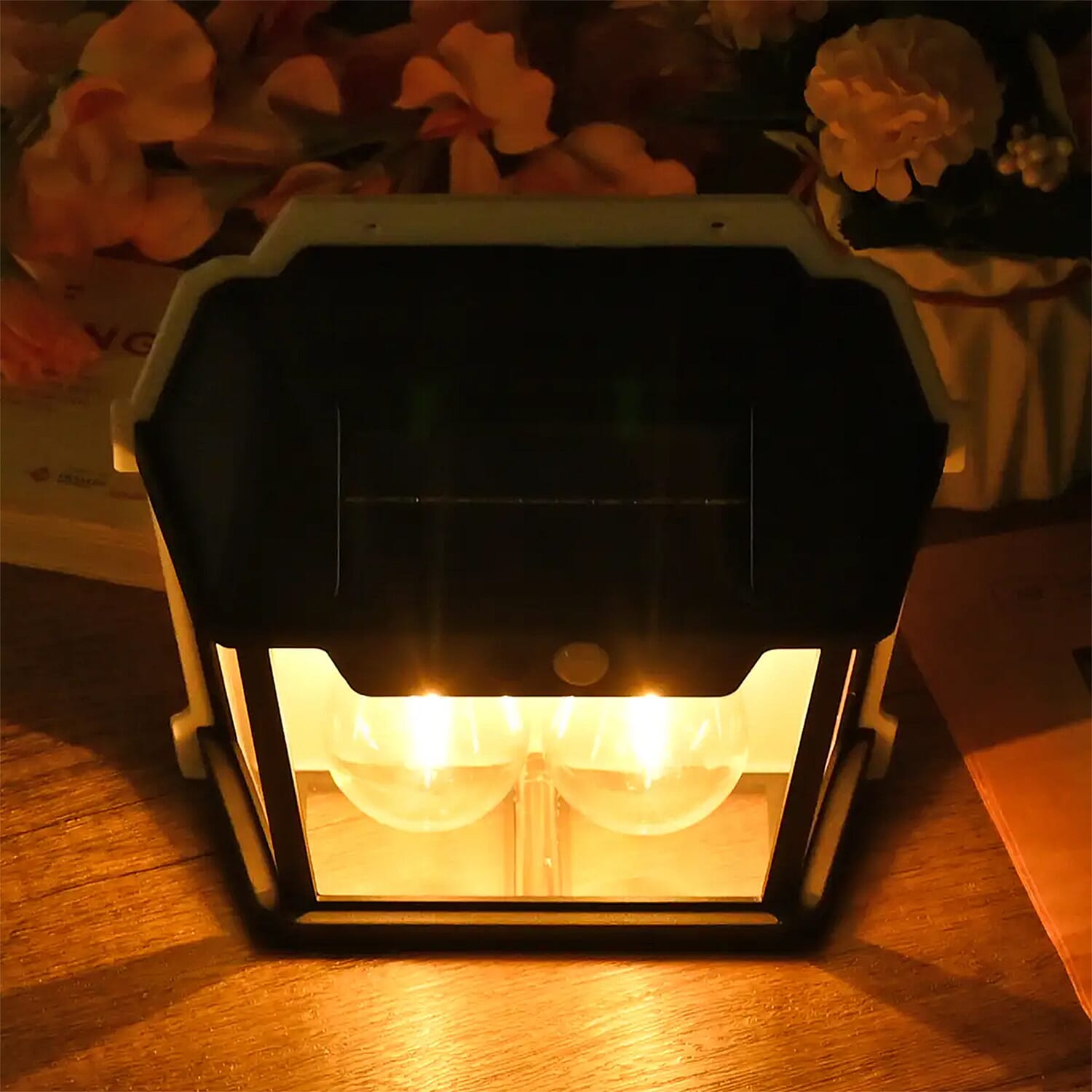 Homesmart Solar 2 Bulb Wall LED Light
