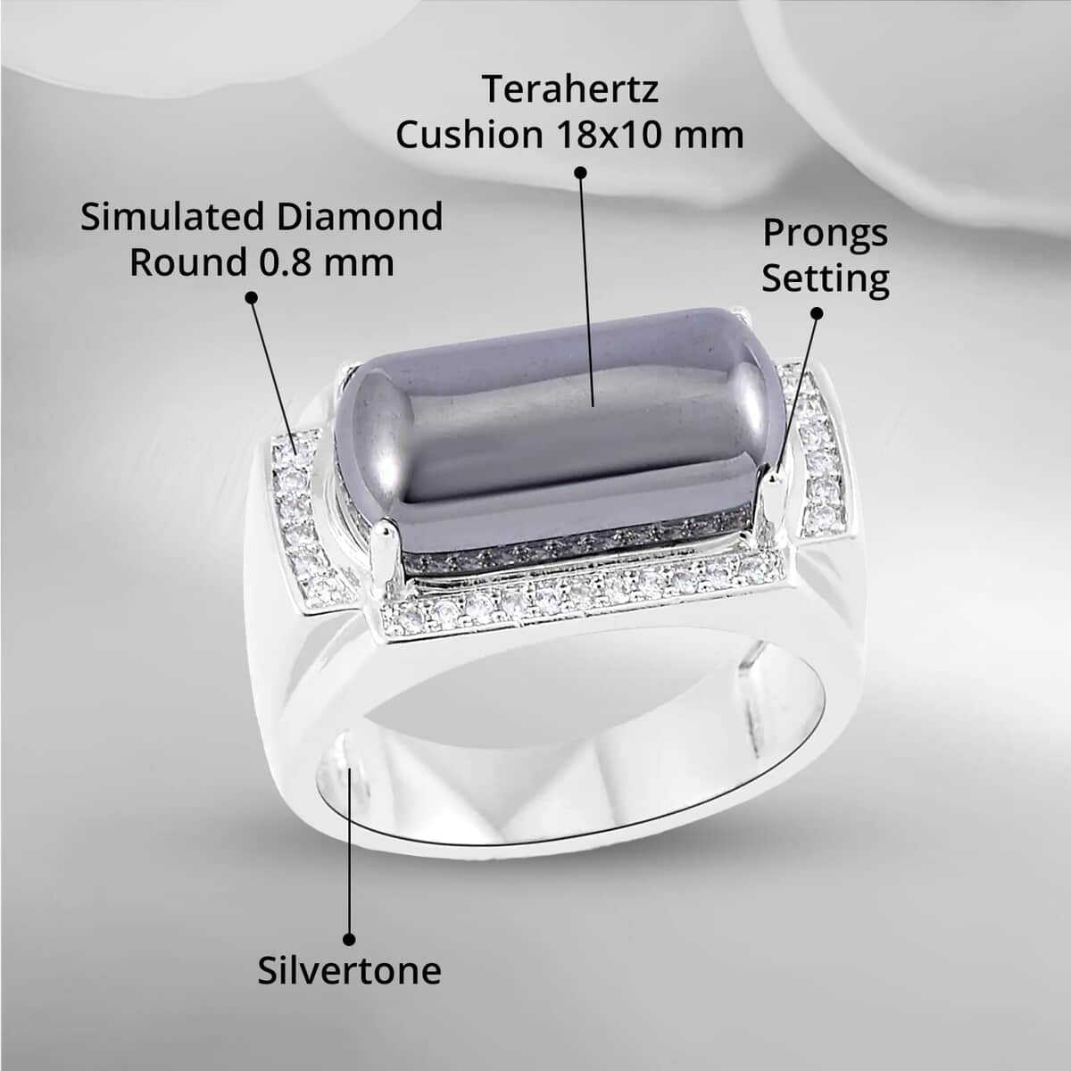 Terahertz and Simulated Diamond Men's Ring in Silvertone (Size 10.0) 10.50 ctw image number 4