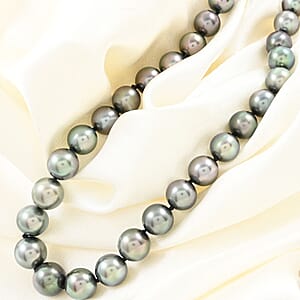 Rhapsody 950 Platinum Premium Tahitian Pearl Graduated 8-12mm Necklace 18-20 Inches
