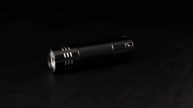 Black 9 LED UV Flash Light (3xAAA Battery Not Included)
