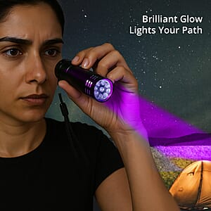 Black 9 LED UV Flash Light (3xAAA Battery Not Included)