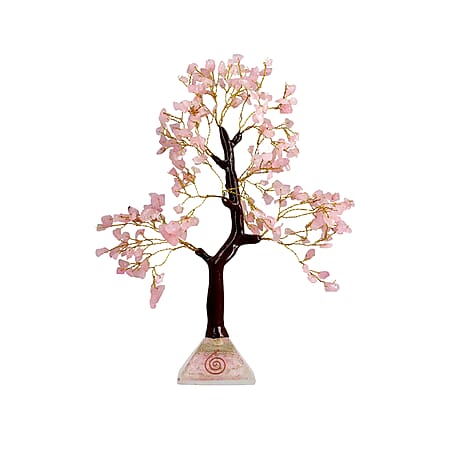 Pink - Product card gallery slide 1 (10177303609657)