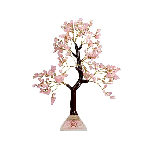 Pink - Product card gallery slide 1 (9431957438719)