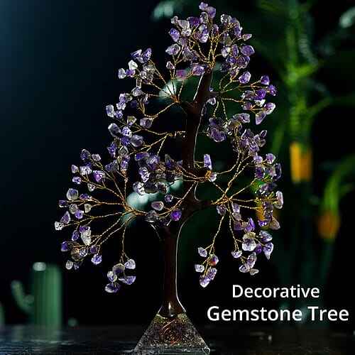 Purple - Product card gallery slide 2 (10177303609657)