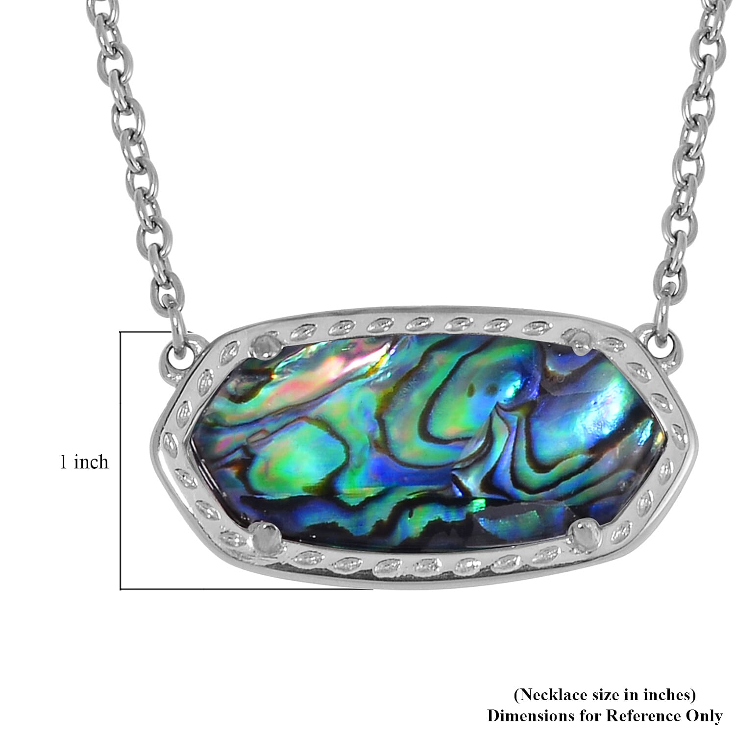 Evertrue Abalone Shell Necklace 20-22 Inches in Stainless Steel