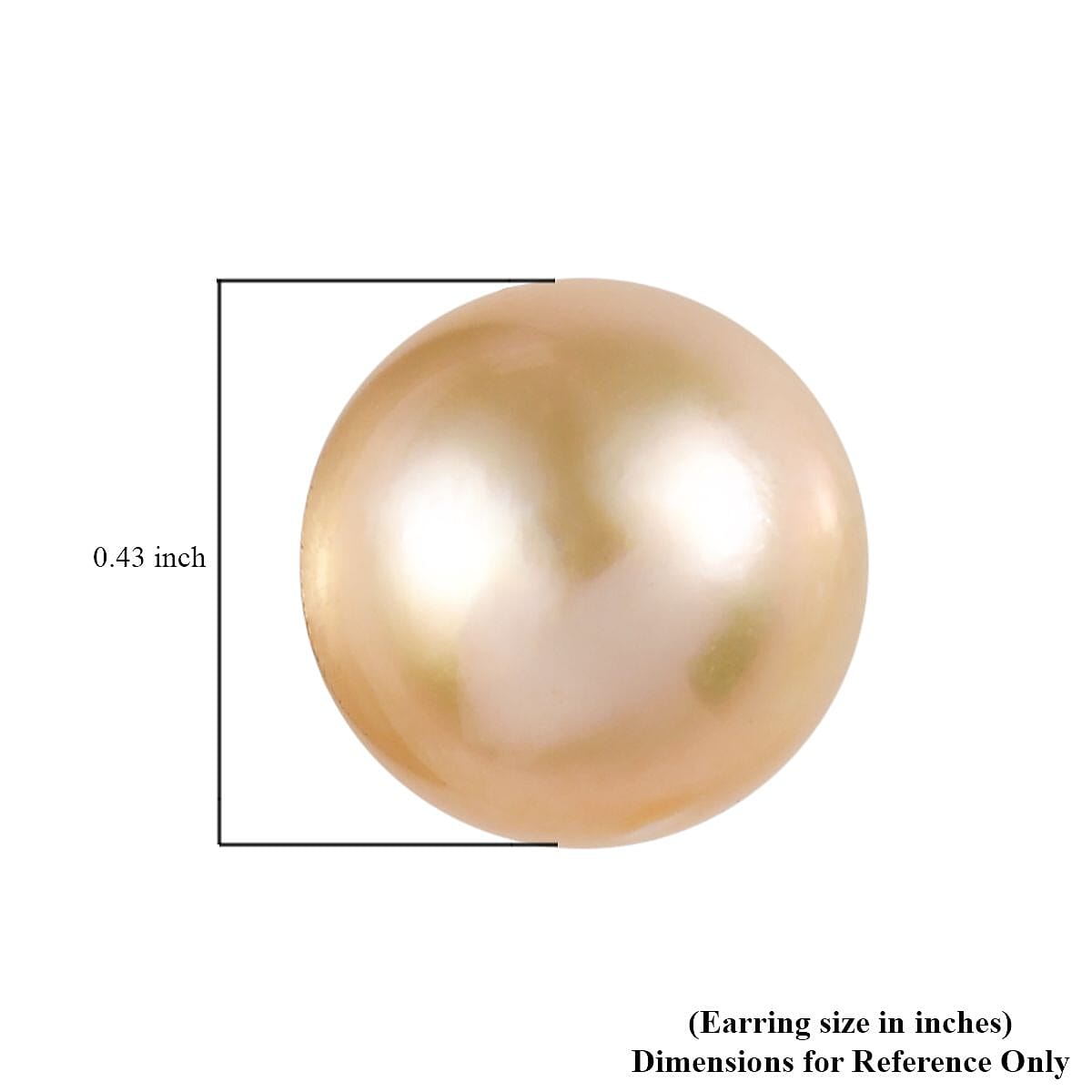 Luxoro 14K Yellow Gold South Sea Golden Pearl Stud Earrings