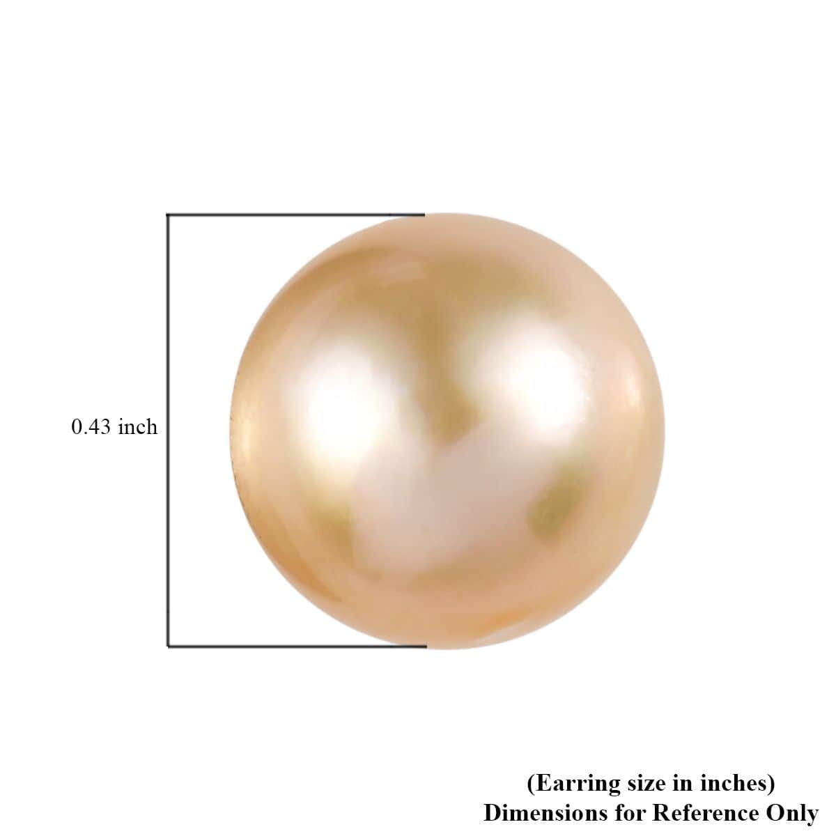 Luxoro 14K Yellow Gold South Sea Golden Pearl Stud Earrings image number 4