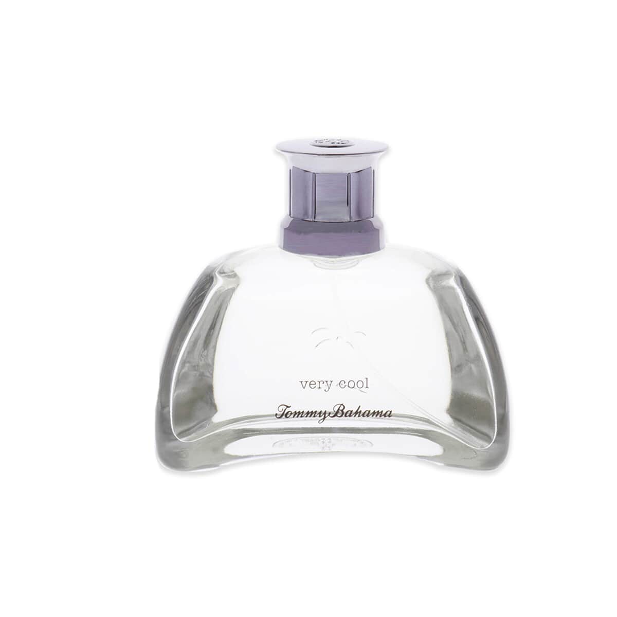 Buy Vince Camuto Terra Eau De Toilette Spray 3.4 Oz at ShopLC.