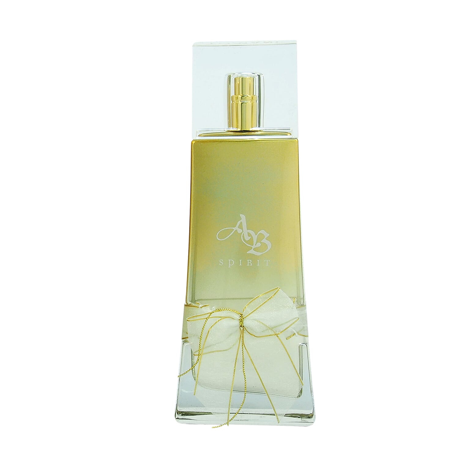 Lomani Ab Spirit Eau De Parfum Spray 3.3 Oz