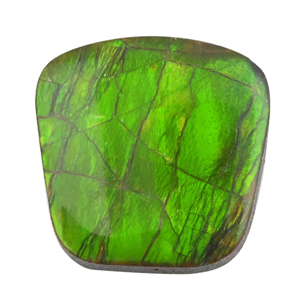 AAAA Canadian Ammolite (Free Free Size) 10.00 ctw image number 0