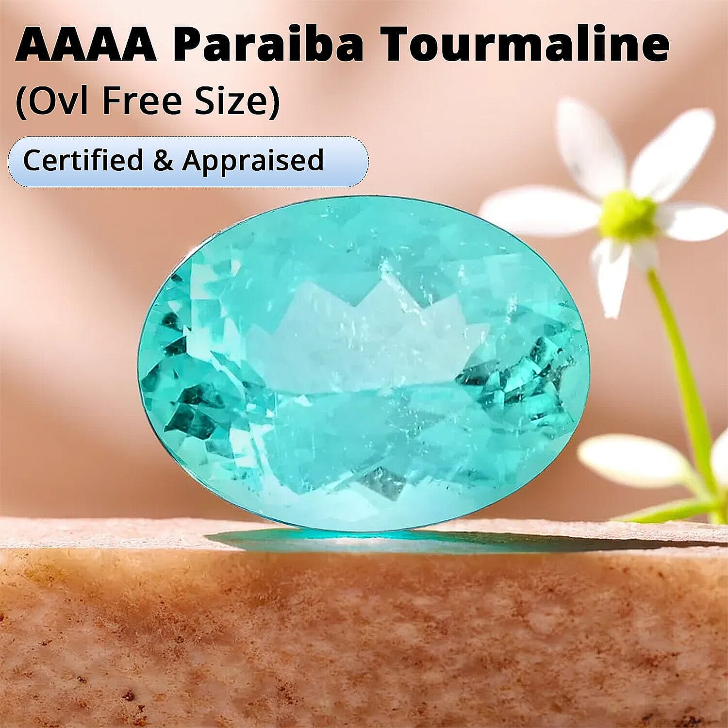 Default Title - Product card gallery slide 3 (9450072015103)