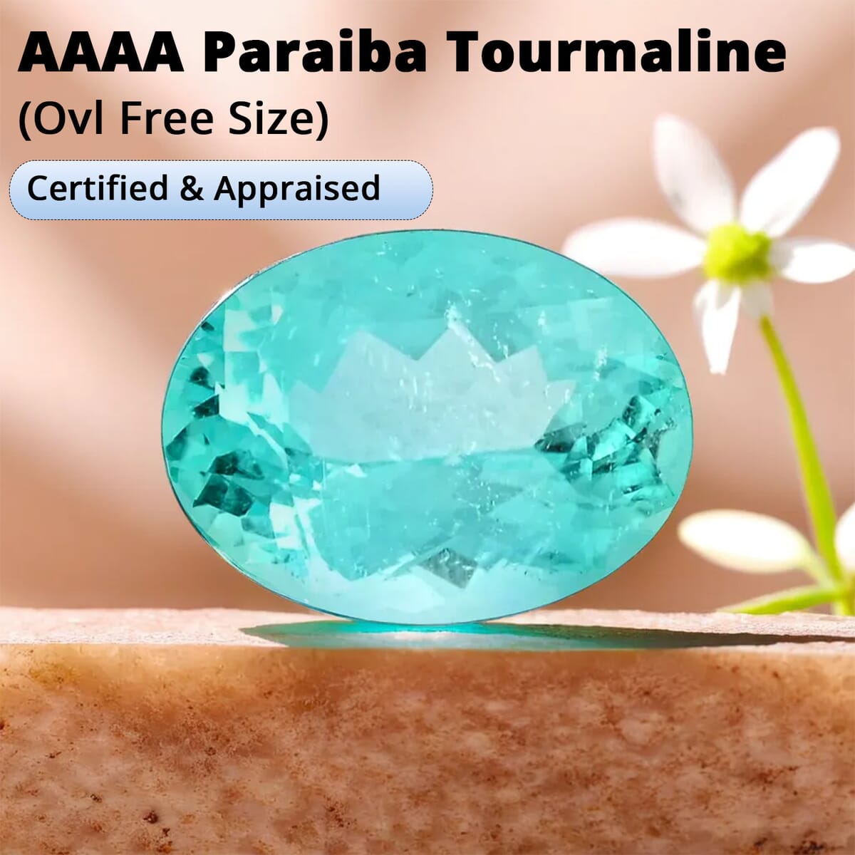 Certified & Appraised AAAA Paraiba Tourmaline (Ovl Free Size) 1.50 ctw image number 2