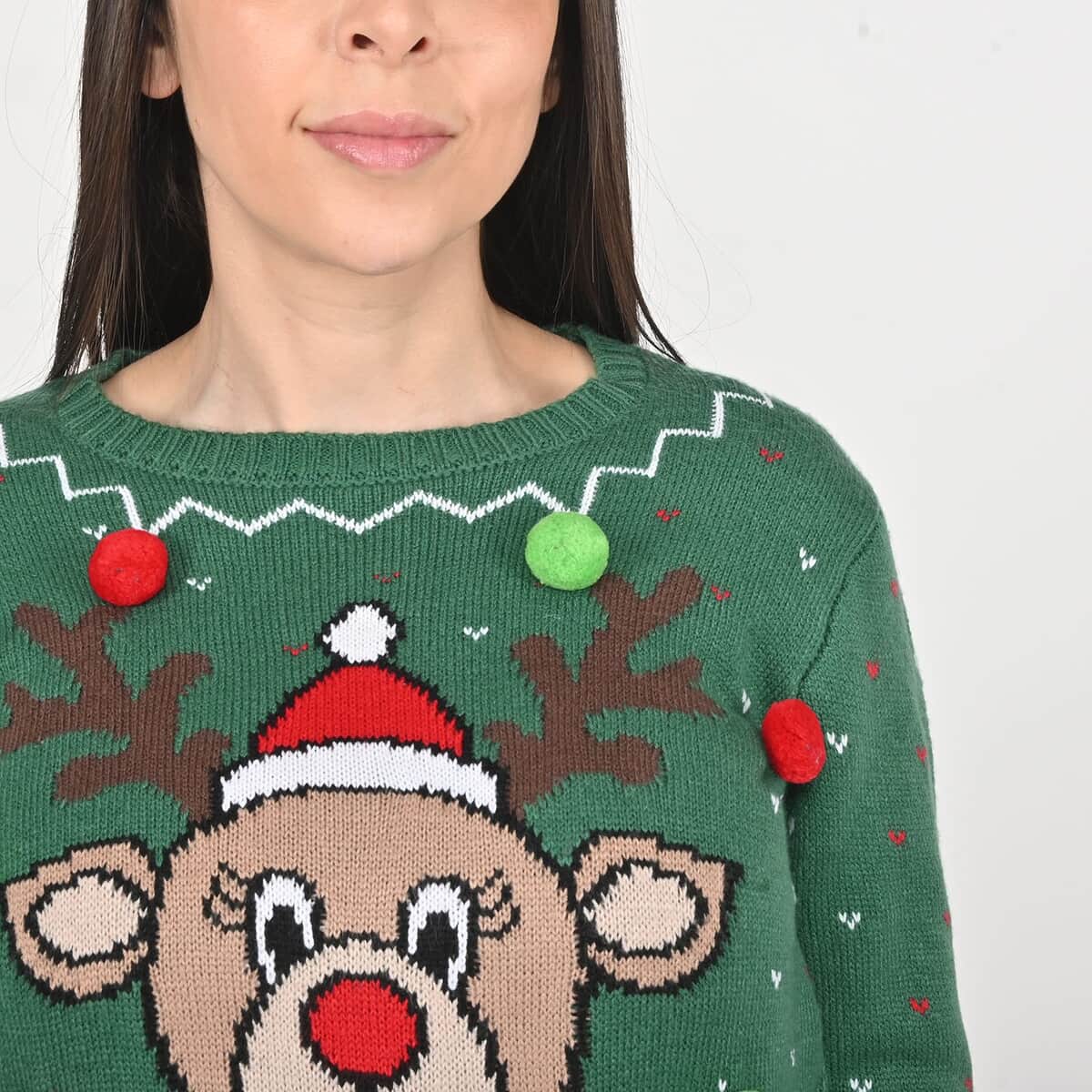 Tamsy Green Reindeer Sweater - S image number 4