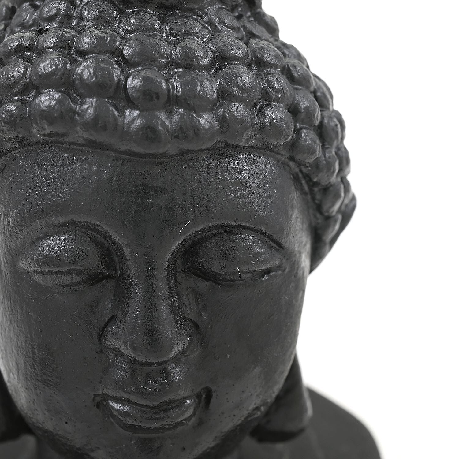 Shungite Buddha Head