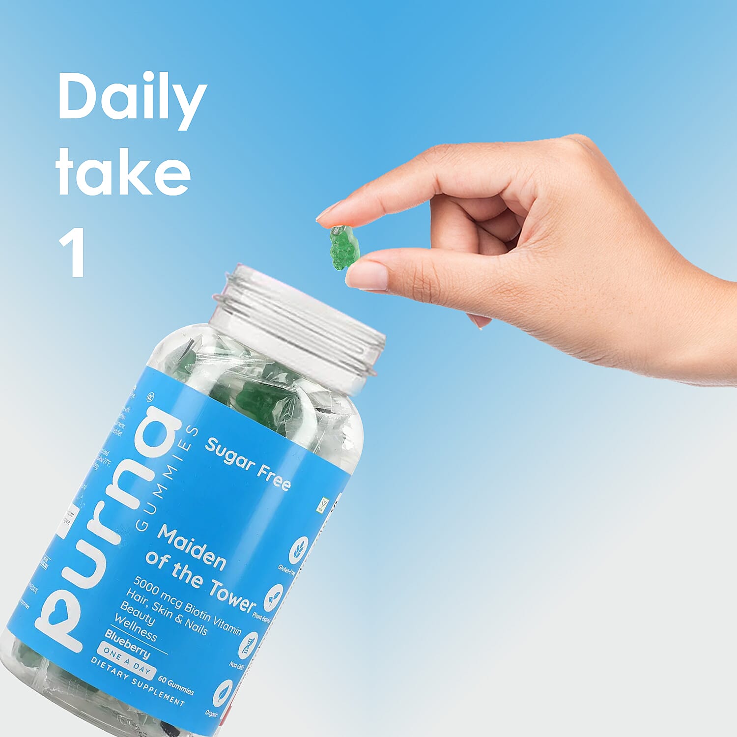 Purna Sugar Free Blueberry Biotin Gummies (60 Gummies)