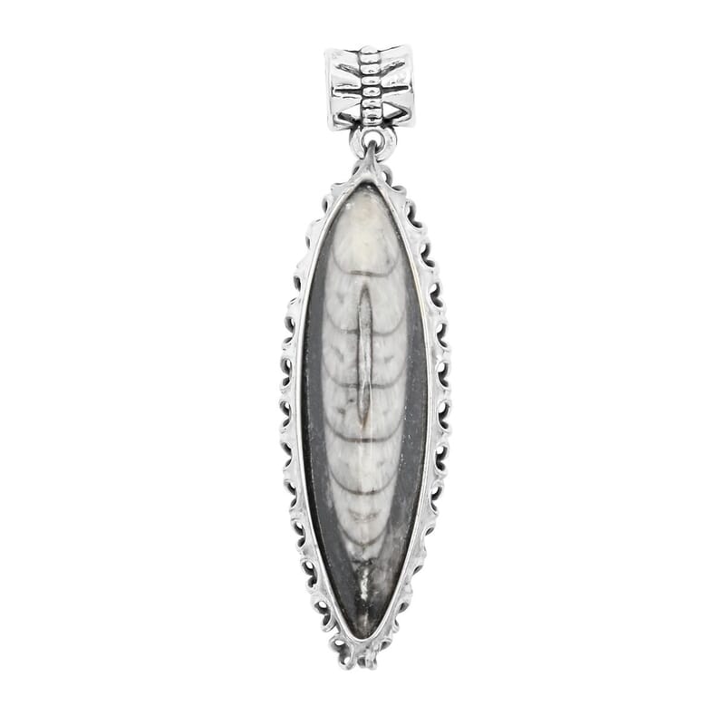 Black Orthoceras Small Pointed Pendant without Chain in Silvertone 18.00 ctw