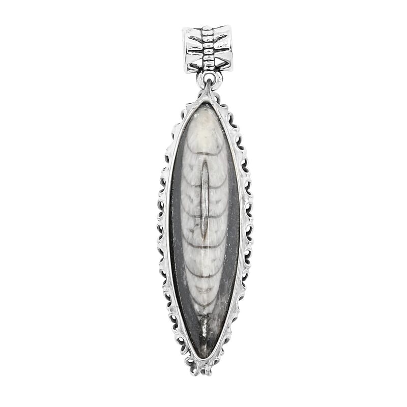 Black Orthoceras Small Pointed Pendant without Chain in Silvertone 18.00 ctw