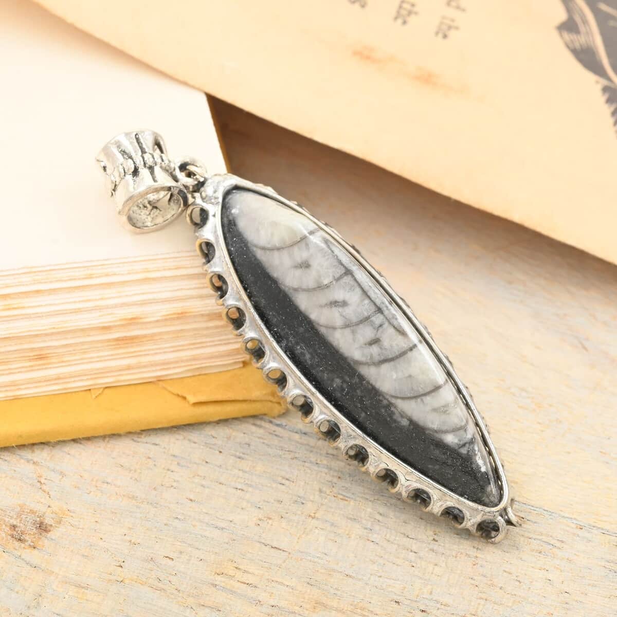 Black Orthoceras Small Pointed Pendant in Silvertone 18.00 ctw image number 1