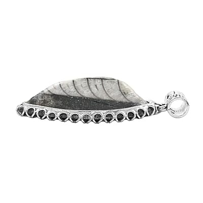 Black Orthoceras Small Pointed Pendant without Chain in Silvertone 18.00 ctw