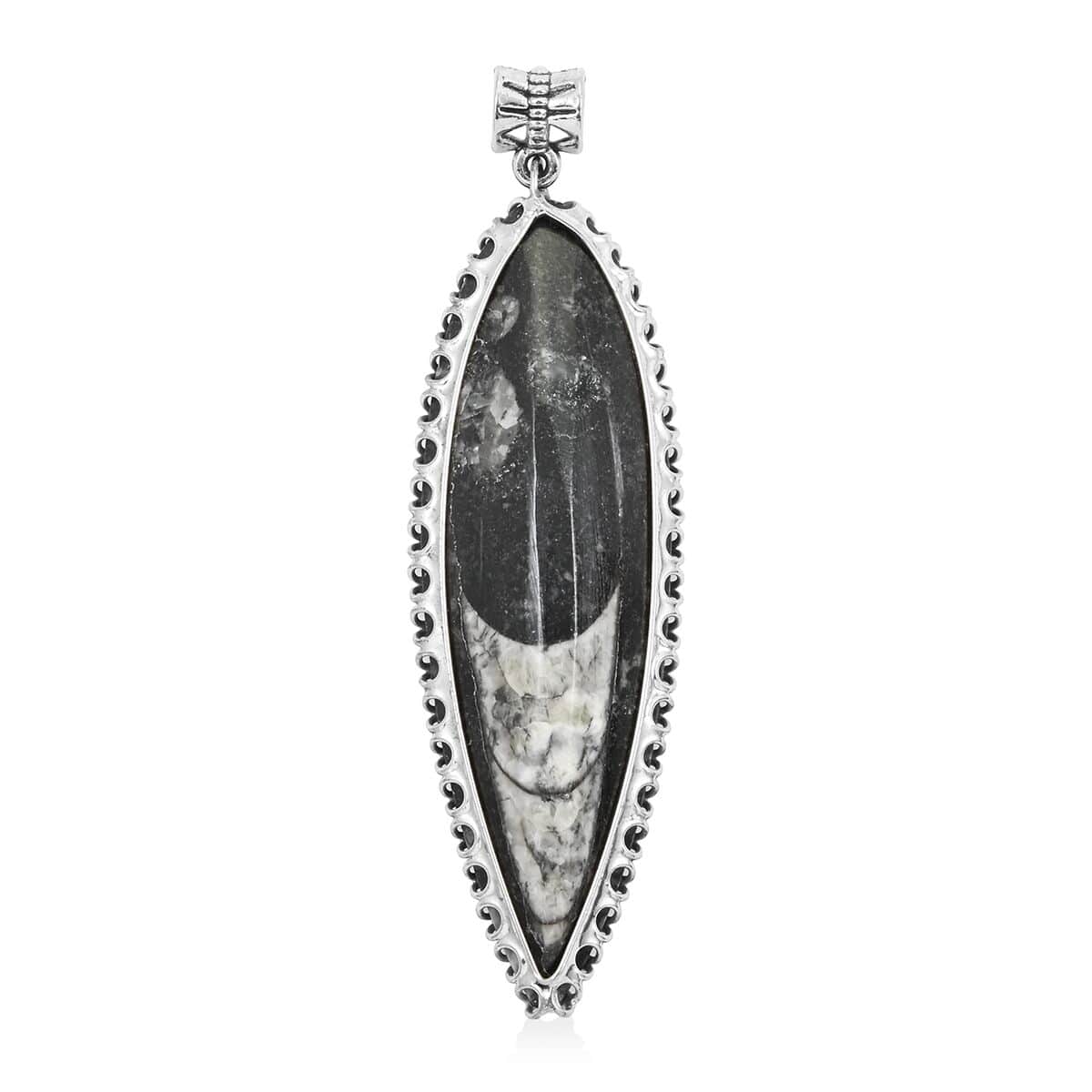 Black Orthoceras Large Pointed Pendant in Silvertone 48.25 ctw image number 0