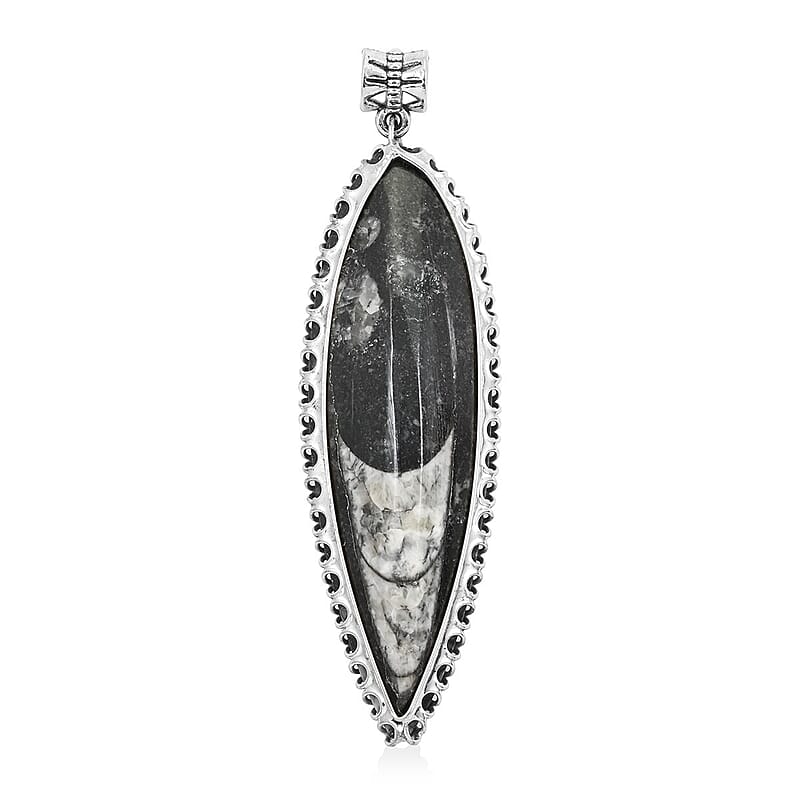 Black Orthoceras 48.25 ctw Large Pointed Pendant without Chain in Silvertone