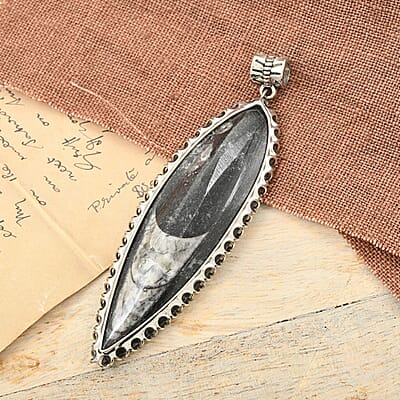 Black Orthoceras 48.25 ctw Large Pointed Pendant without Chain in Silvertone