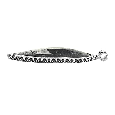 Black Orthoceras 48.25 ctw Large Pointed Pendant without Chain in Silvertone