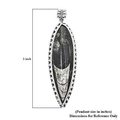 Black Orthoceras 48.25 ctw Large Pointed Pendant without Chain in Silvertone