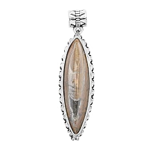 Brown Orthoceras 25.00 ctw Small Pointed Pendant without Chain in Silvertone