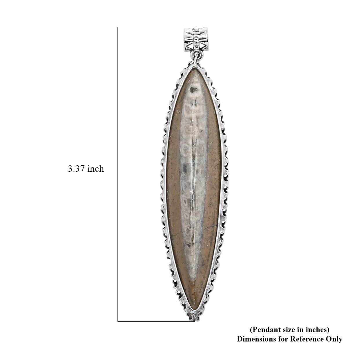 Brown Orthoceras 52.25 ctw Large Pointed Pendant in Silvertone image number 4