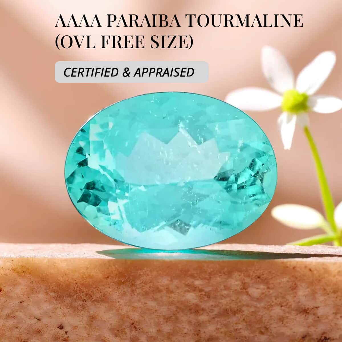 Certified & Appraised AAAA Paraiba Tourmaline (Ovl Free Size) 0.50 ctw image number 2