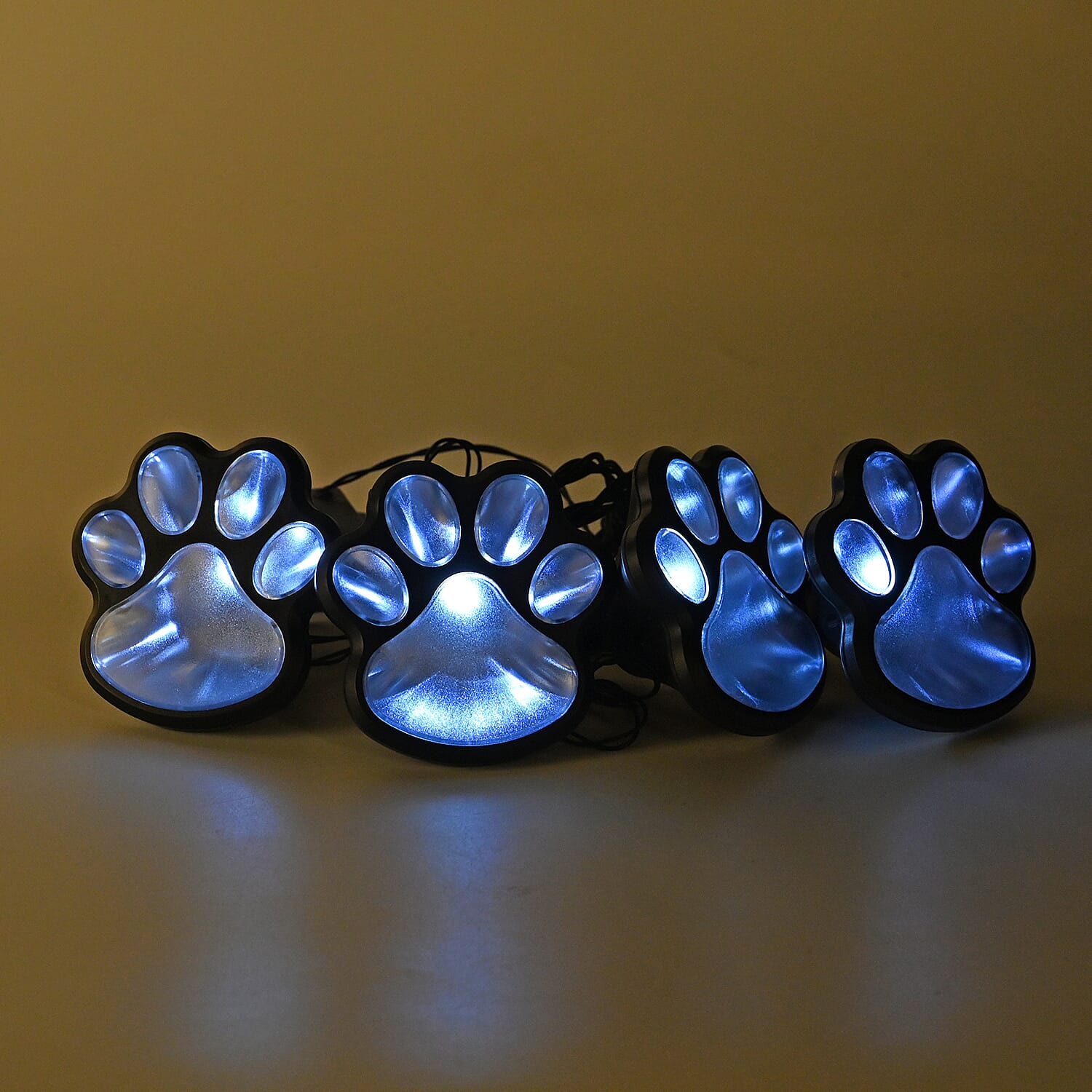 Paw - Product card gallery slide 2 (9432062623999)