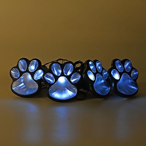 Paw - Product card gallery slide 2 (9432062623999)