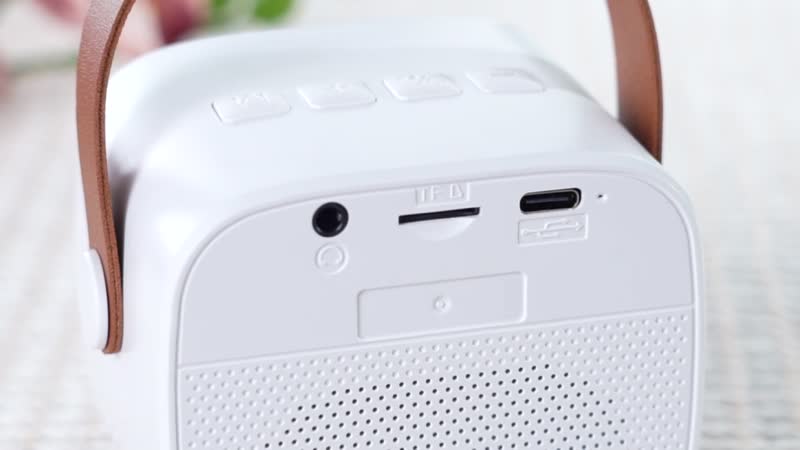 White Mini Speaker with 2 Wireless Microphone with Bluetooth