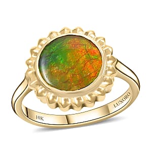 Certified & Appraised Luxoro 10K Yellow Gold AAA Canadian Ammolite (Rnd 10mm) Solitaire Ring (Size 6.5)