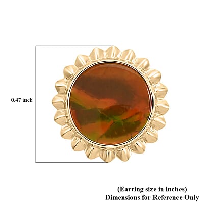 Certified & Appraised Luxoro 10K Yellow Gold AAA Canadian Ammolite Stud Earrings