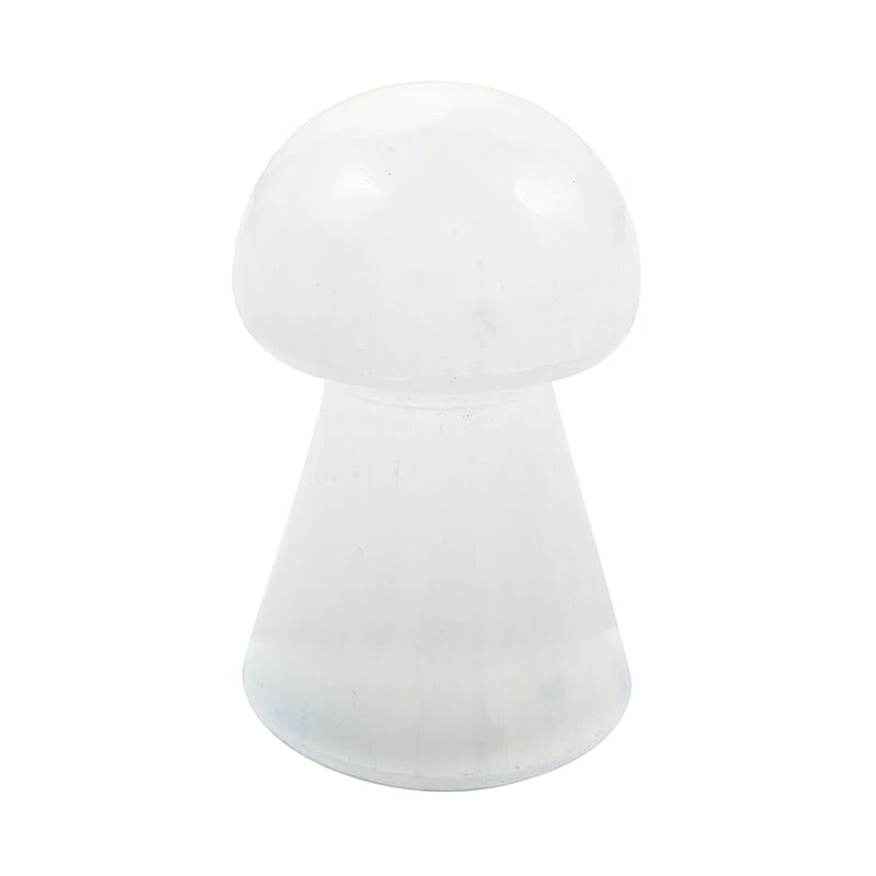 Selenite Mushroom 6cm 417.5ctw