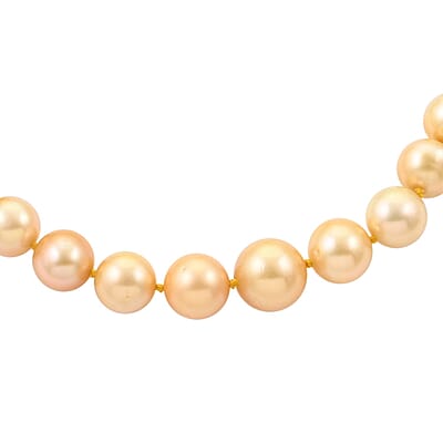 Certified & Appraised Iliana 18K Yellow Gold AAAA South Sea Golden Pearl Necklace 18 Inches