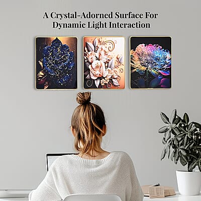 Set of 3 Flower Crystal Painting with PC Frame
