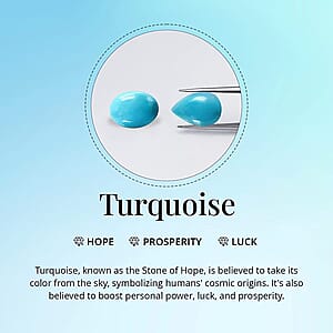 Sleeping Beauty Turquoise  Earring in Vermeil RG Sterling Silver 2.17 ctw (Del. in 10-12 Days)