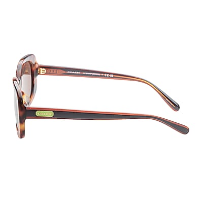 Coach Women's Pearlescent Amber Tortoise Sunglasses with Protection Case