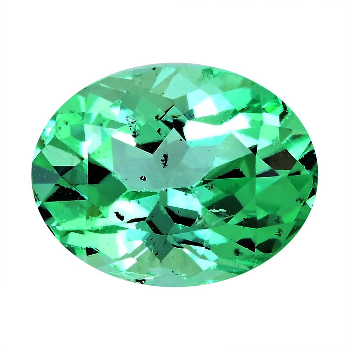 Default Title - Product card gallery slide 1 (10145333084443)